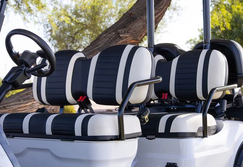 ICON i60L front-row plush black and white deluxe seating with armrests and seat belts